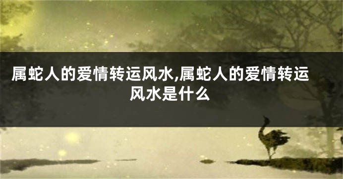 属蛇人的爱情转运风水,属蛇人的爱情转运风水是什么