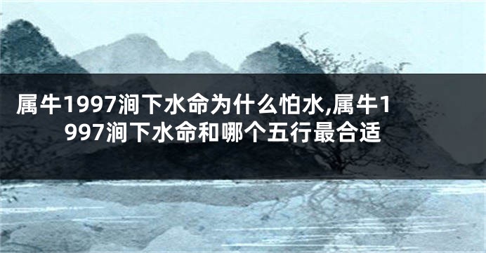 属牛1997涧下水命为什么怕水,属牛1997涧下水命和哪个五行最合适