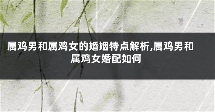 属鸡男和属鸡女的婚姻特点解析,属鸡男和属鸡女婚配如何