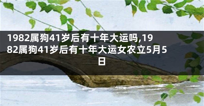 1982属狗41岁后有十年大运吗,1982属狗41岁后有十年大运女农立5月5日