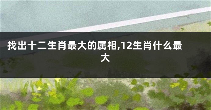 找出十二生肖最大的属相,12生肖什么最大