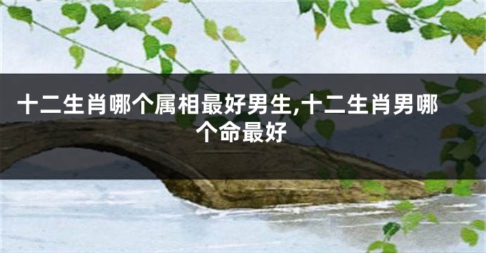 十二生肖哪个属相最好男生,十二生肖男哪个命最好