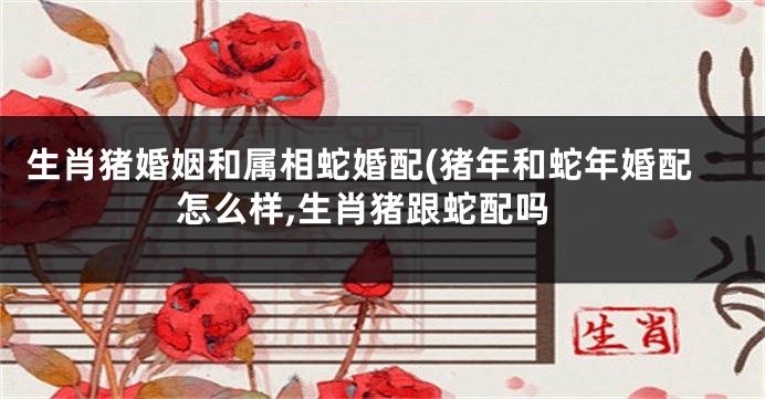 生肖猪婚姻和属相蛇婚配(猪年和蛇年婚配怎么样,生肖猪跟蛇配吗