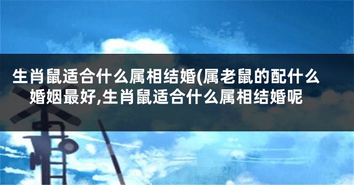 生肖鼠适合什么属相结婚(属老鼠的配什么婚姻最好,生肖鼠适合什么属相结婚呢