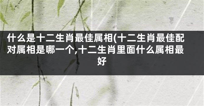 什么是十二生肖最佳属相(十二生肖最佳配对属相是哪一个,十二生肖里面什么属相最好