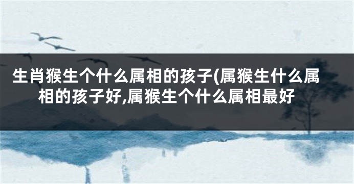 生肖猴生个什么属相的孩子(属猴生什么属相的孩子好,属猴生个什么属相最好