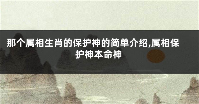 那个属相生肖的保护神的简单介绍,属相保护神本命神