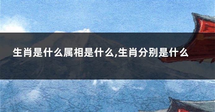 生肖是什么属相是什么,生肖分别是什么