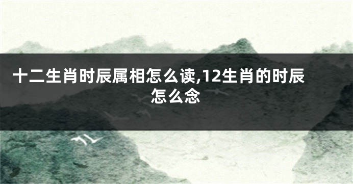 十二生肖时辰属相怎么读,12生肖的时辰怎么念