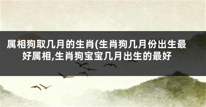 属相狗取几月的生肖(生肖狗几月份出生最好属相,生肖狗宝宝几月出生的最好