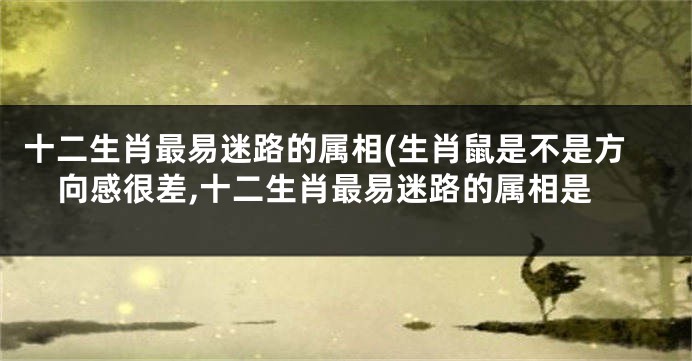 十二生肖最易迷路的属相(生肖鼠是不是方向感很差,十二生肖最易迷路的属相是