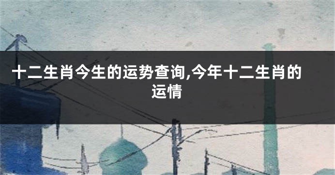 十二生肖今生的运势查询,今年十二生肖的运情