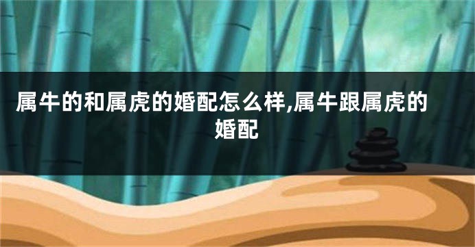 属牛的和属虎的婚配怎么样,属牛跟属虎的婚配