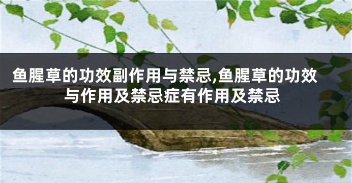 鱼腥草的功效副作用与禁忌,鱼腥草的功效与作用及禁忌症有作用及禁忌