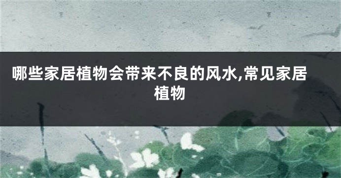 哪些家居植物会带来不良的风水,常见家居植物