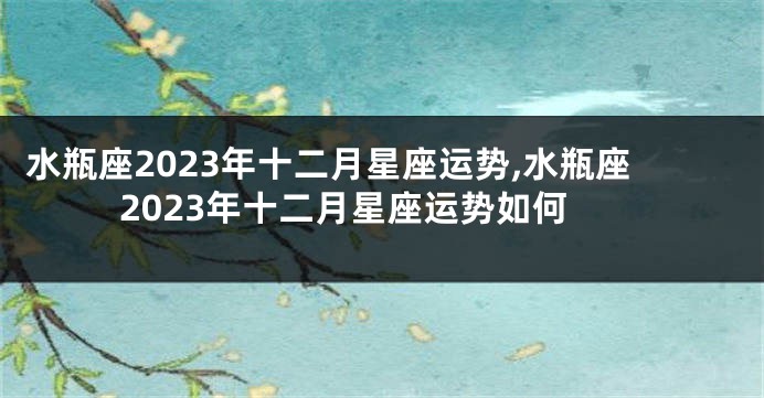 水瓶座2023年十二月星座运势,水瓶座2023年十二月星座运势如何