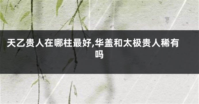 天乙贵人在哪柱最好,华盖和太极贵人稀有吗