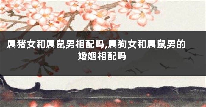 属猪女和属鼠男相配吗,属狗女和属鼠男的婚姻相配吗