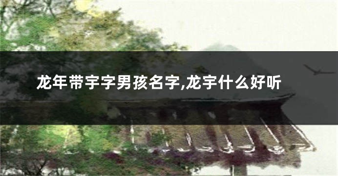 龙年带宇字男孩名字,龙宇什么好听