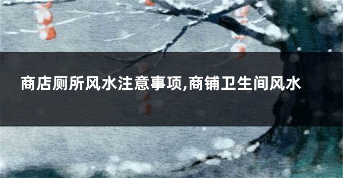 商店厕所风水注意事项,商铺卫生间风水