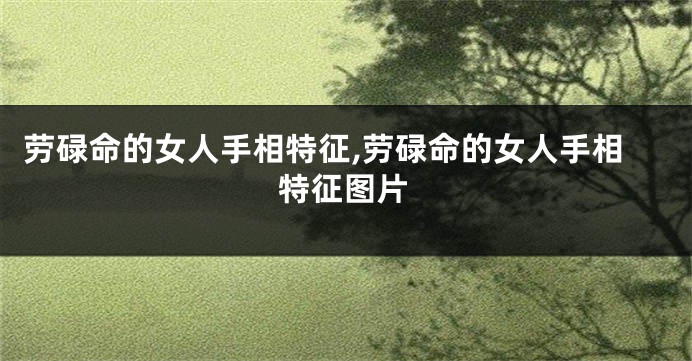 劳碌命的女人手相特征,劳碌命的女人手相特征图片