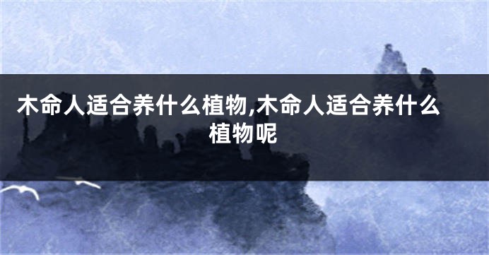 木命人适合养什么植物,木命人适合养什么植物呢
