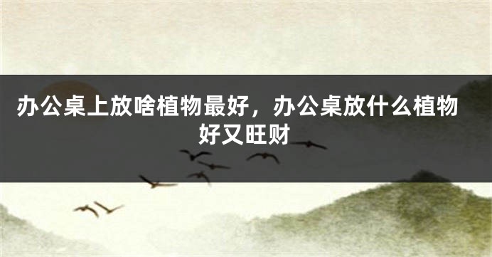 办公桌上放啥植物最好，办公桌放什么植物好又旺财