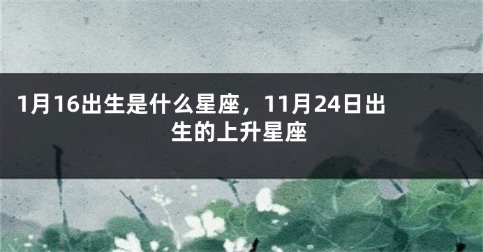 1月16出生是什么星座，11月24日出生的上升星座