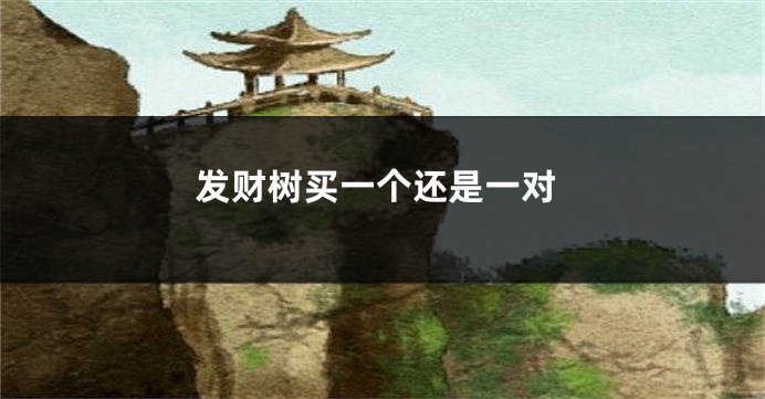 发财树买一个还是一对