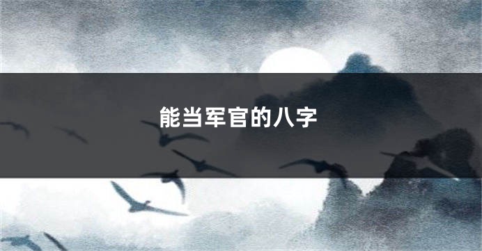 能当军官的八字