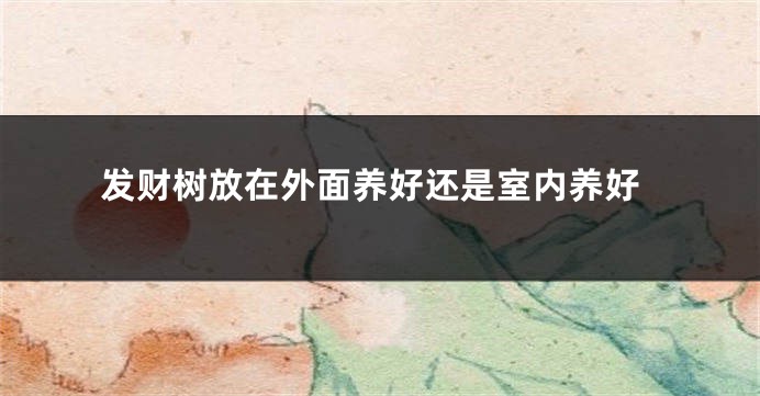 发财树放在外面养好还是室内养好