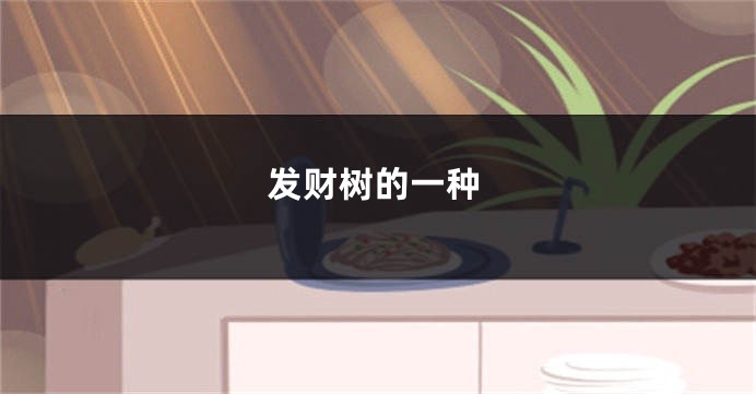 发财树的一种