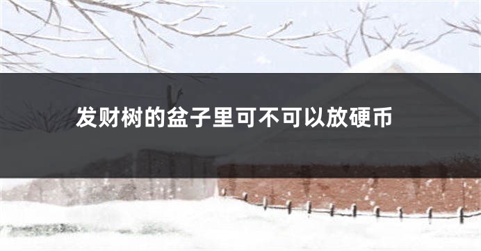 发财树的盆子里可不可以放硬币
