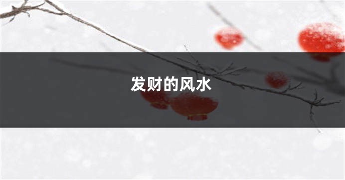 发财的风水