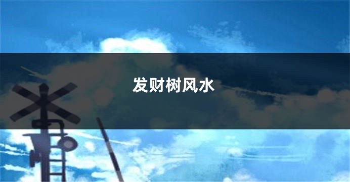 发财树风水