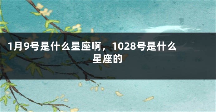 1月9号是什么星座啊，1028号是什么星座的