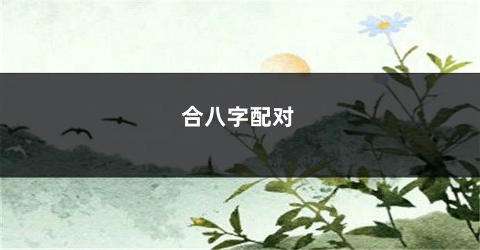 合八字配对