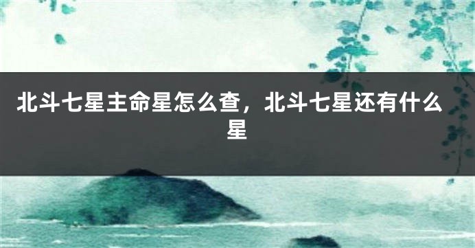 北斗七星主命星怎么查，北斗七星还有什么星