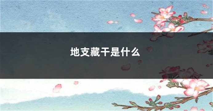 地支藏干是什么