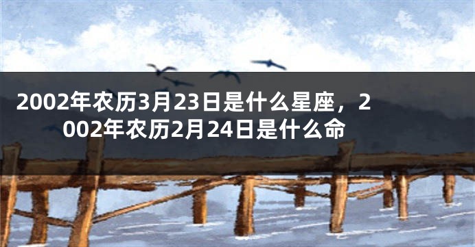 2002年农历3月23日是什么星座，2002年农历2月24日是什么命