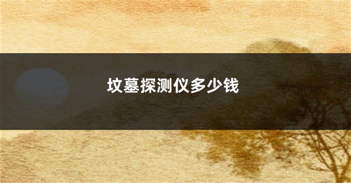坟墓探测仪多少钱