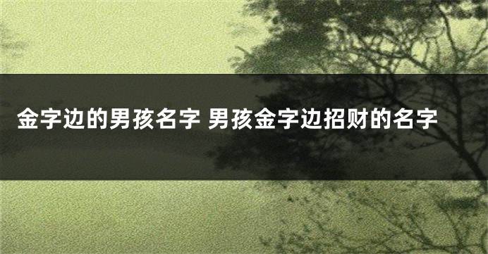 金字边的男孩名字 男孩金字边招财的名字