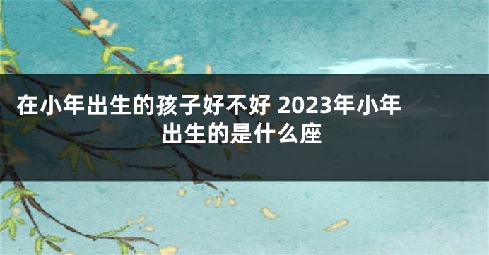 在小年出生的孩子好不好 2023年小年出生的是什么座