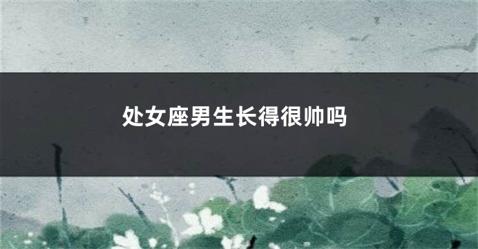 处女座男生长得很帅吗