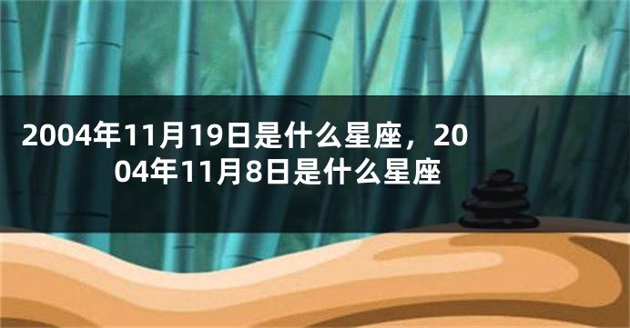 2004年11月19日是什么星座，2004年11月8日是什么星座