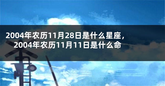 2004年农历11月28日是什么星座，2004年农历11月11日是什么命