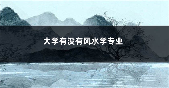 大学有没有风水学专业