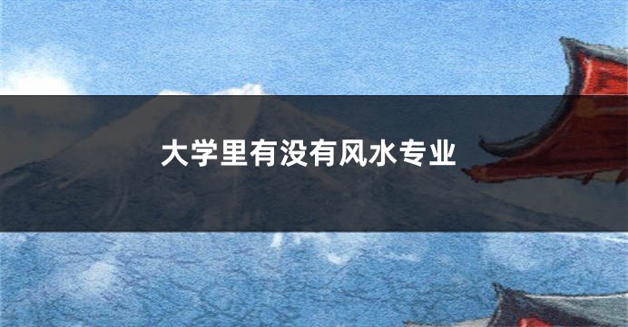 大学里有没有风水专业