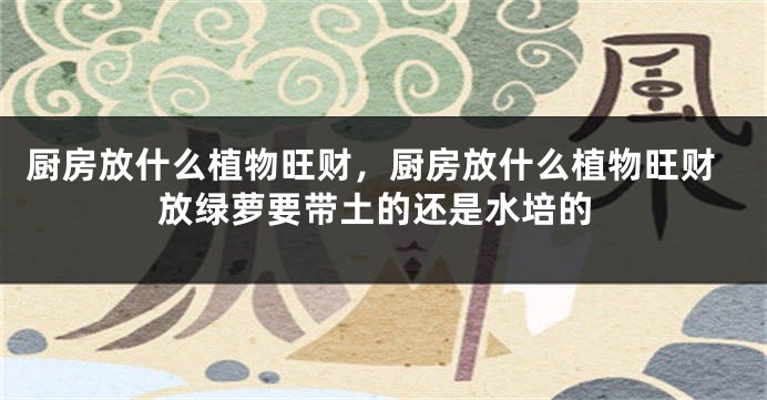 厨房放什么植物旺财，厨房放什么植物旺财放绿萝要带土的还是水培的