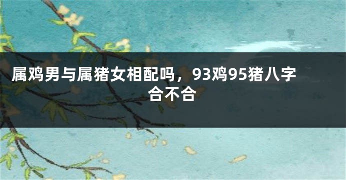 属鸡男与属猪女相配吗，93鸡95猪八字合不合